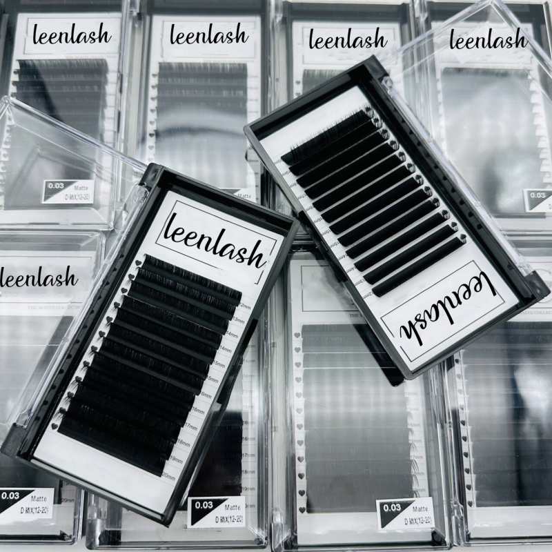 lash extension  (1)
