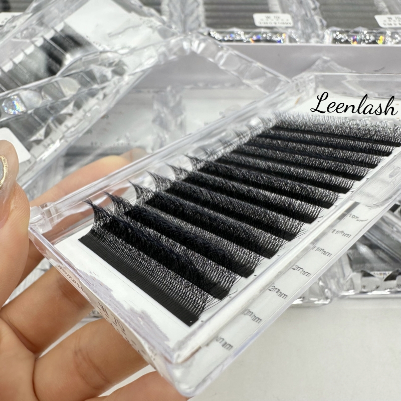 Lash Extension 3D 4D 5D W Shape Eyelashes Extension