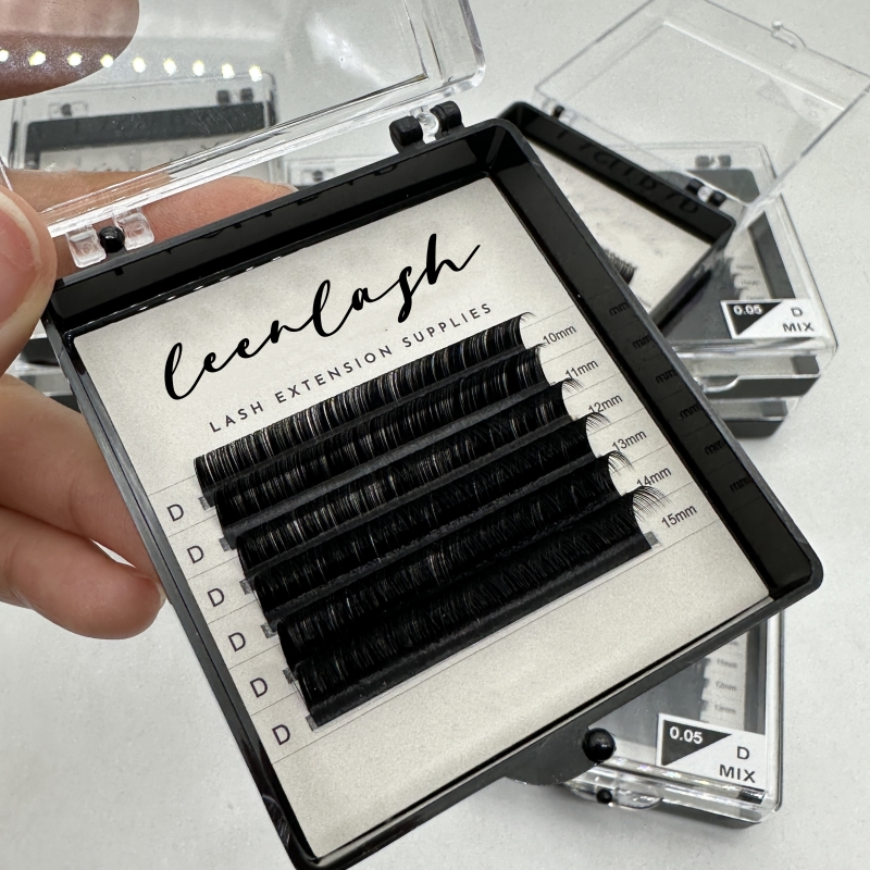 lash extemnsion (10)