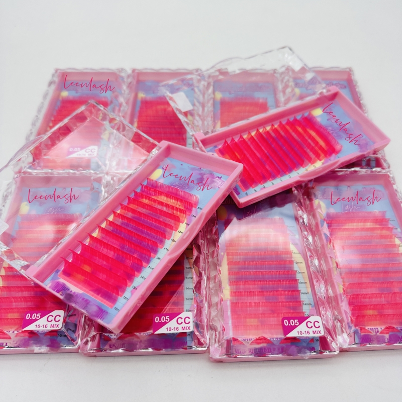 lash extemnsion (17)